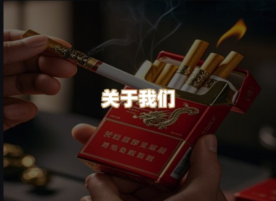 关于御龙烟网